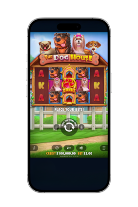 dog house free spins